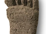 JINsoon:Foot Pumice Stone
