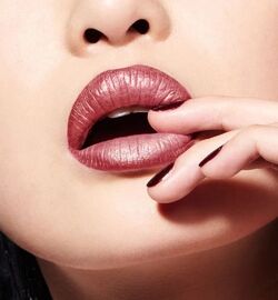 Dior Coup de Chic 429 Rouge Dior Double Rouge Beauty Lifestyle Wiki Fandom