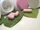 Hair, Skin, and Nail Supplements