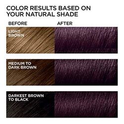 L'Oreal Paris:Feria Violet Soft Black M32 (Midnight Star) | Beauty Lifestyle Wiki | Fandom L'Oreal Paris:Feria Violet Soft Black M32 (Midnight Star) | Beauty Lifestyle Wiki | Fandom