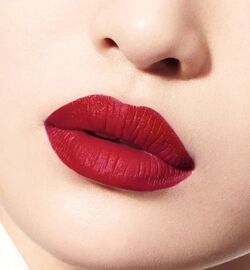 Dior Sophisticated Matte 861 Rouge Dior Beauty Lifestyle Wiki Fandom