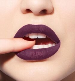 Dior Poison Matte 962 Rouge Dior Beauty Lifestyle Wiki Fandom