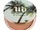 Urban Decay:Bronzed Beached Bronzer
