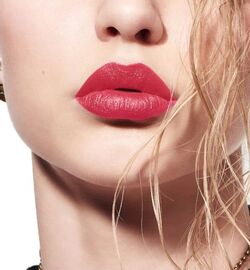 Dior Versatile Satin 565 Rouge Dior Liquid Beauty Lifestyle Wiki Fandom