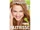 Garnier:Nutrisse Nourishing Color Creme Dark Golden Blonde 73 (Honey Dip)