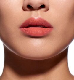 Dior addict lip tattoo 251 natural peach Clearance