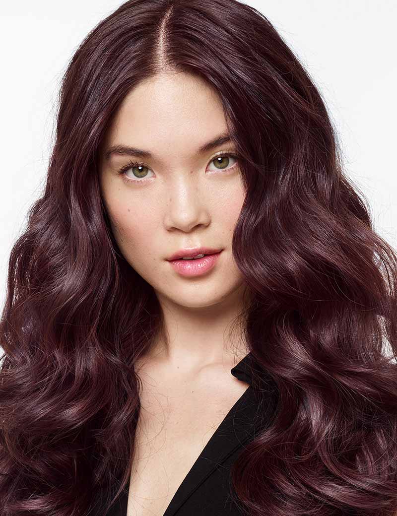 Brown Amethyst Dark Chocolate Brown Hair With A Lilac Purple Undertone Dark  Chocolate Brown Hair, Lilac Hair, Hair Color Purple |  Colegioclubuniversitario.Edu.Ar