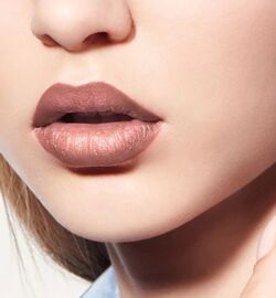 Dior lipstick 510 jungle beige top