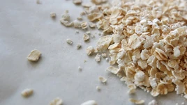 Oat-2775006 640