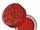 Kat Von D:Scarlet 24-Hour Super Brow Long-Wear Pomade
