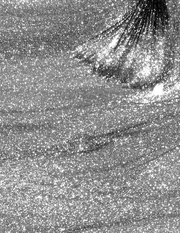 Brand categorizes as Shimmer Finish but described as Silver Glitter.