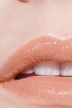 Chanel Casual 52 Rouge Coco Flash Beauty Lifestyle Wiki Fandom