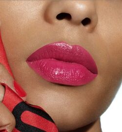 Dior Rose Harpers 766 Rouge Dior Refillable Beauty Lifestyle Wiki Fandom