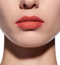 Dior Natural Peach 251 Dior Addict Lip Tattoo Beauty Lifestyle