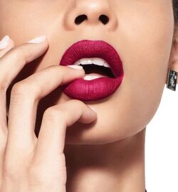 Rouge dior liquid 797 savage matte cheap