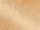 Neutral Undertone