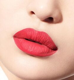 Dior Euphoric Matte 652 Rouge Dior Beauty Lifestyle Wiki Fandom
