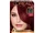 L'Oreal Paris:Superior Preference Intense Dark Red RR04