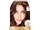 L'Oreal Paris:Excellence Creme Dark Chocolate Brown 4AR