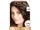 L'Oreal Paris:Excellence Creme Dark Brown 4