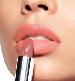 dior lipstick 169
