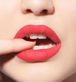 Dior Euphoric Matte 652 Rouge Dior Beauty Lifestyle Wiki Fandom