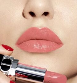Dior clearance rouge 343