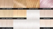 Level 9-11 Light Blonde to Platinum: Ash-Blue Tones, Neutral Tones, Red/Copper Tones and Purple Tones.