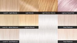 Hair Levels Beauty Lifestyle Wiki Fandom Hair Levels Beauty Lifestyle Wiki Fandom