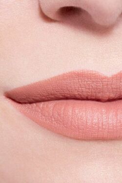 How to Create Two Toned Lips with LE ROUGE CRAYON DE COULEUR MAT