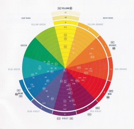 Level Chart -- Hair Color System  Hair levels, Color correction hair, Hair  color pastel