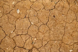Backdrop-background-brown-2303587