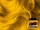 Manic Panic:Sunshine