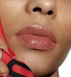 Dior Promenade 434 Rouge Dior Refillable Beauty Lifestyle Wiki