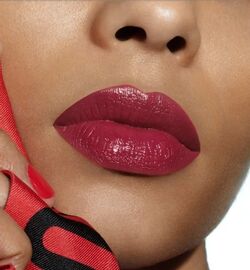 Dior Charnelle 959 Rouge Dior Refillable Beauty Lifestyle Wiki