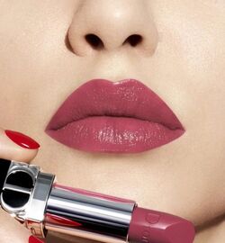 Dior Desir 663 Rouge Dior Refillable Beauty Lifestyle Wiki Fandom