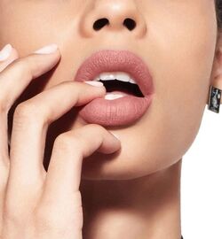Dior chic cheap matte 221