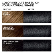 L'Oréal Feria Dye Chart Sample.