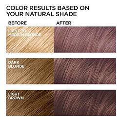 Level Chart -- Hair Color System  Hair levels, Color correction hair, Hair  color pastel