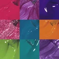 Bright-Medium Shades