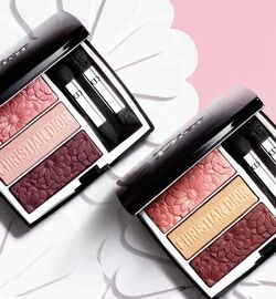 Dior tri oblique cheap