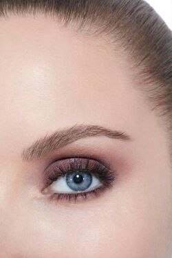 Chanel:Tisse Rivoli 226 Les 4 Ombres | Beauty Lifestyle Wiki