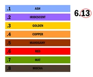 ‡L'Oreal hair dye chart.
