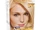 L'Oreal Paris:Superior Preference Extra Light Sun Blonde LB12