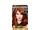 L'Oreal Paris:Superior Preference Light Auburn 67 (Babylon)