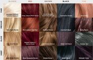 Loreal-Paris-BMAG-Article-Our-LOreal-Paris-Feria-Hair-Color-Chart-D