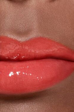 fotoelektrisk værtinde Alabama Chanel:Living Orange 802 Rouge Coco Gloss | Beauty Lifestyle Wiki | Fandom