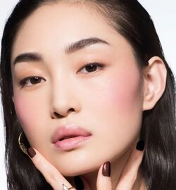Dior poison matte blush cheap