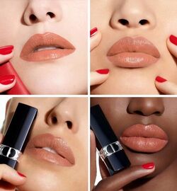 Dior Grege 339 Rouge Dior Refillable Beauty Lifestyle Wiki Fandom
