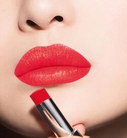 Dior rouge 651 store